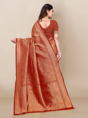 Woman wearing a traditional saree with a plain background