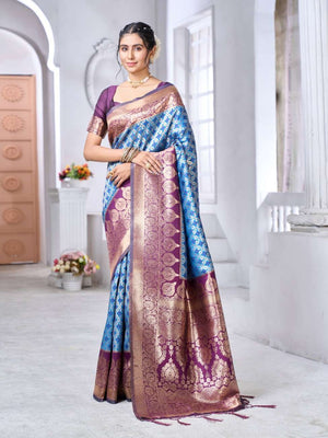 Woman wearing a traditional saree in a white room
