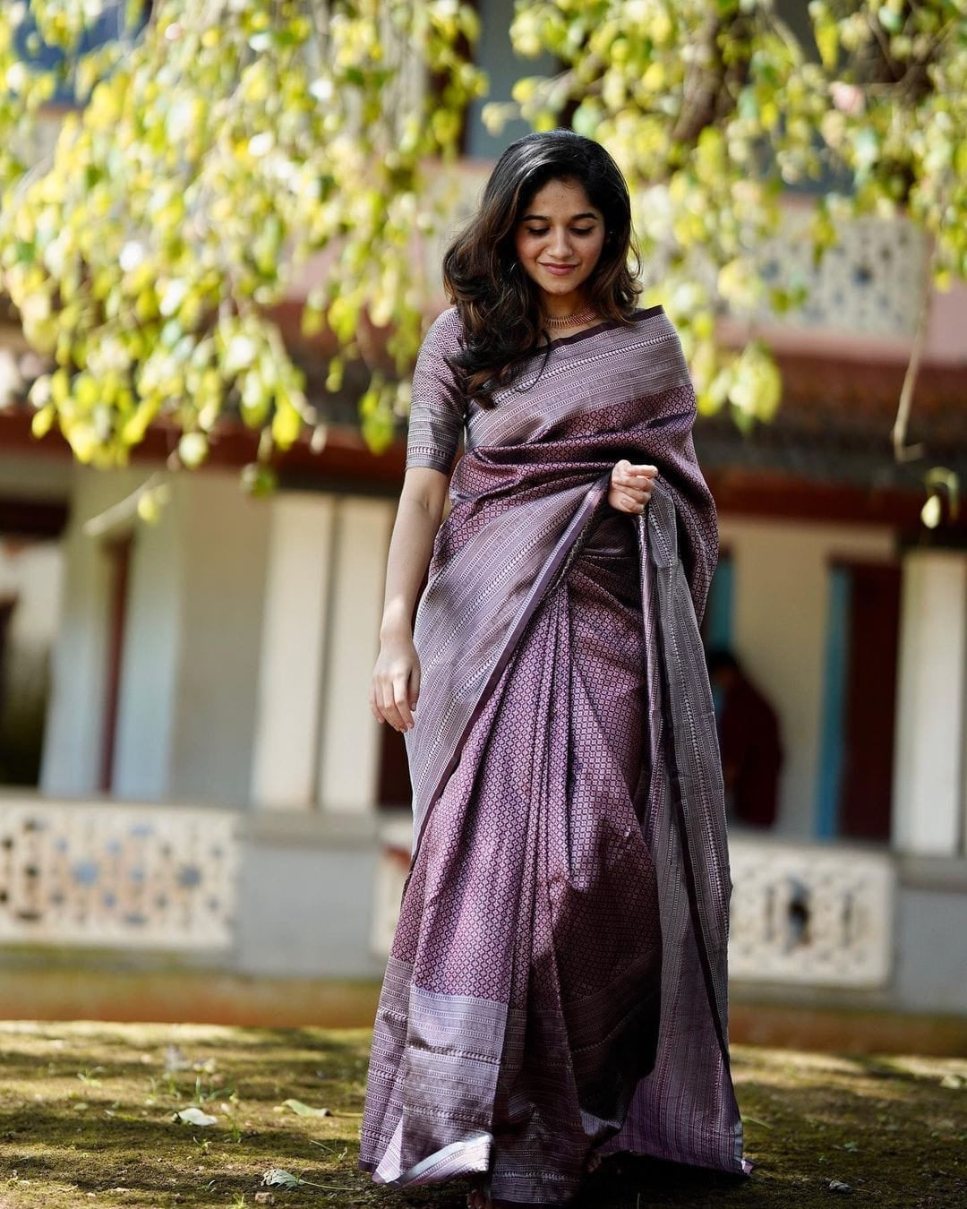 Woven Kanjivaram Pure Silk Saree  (Brown)