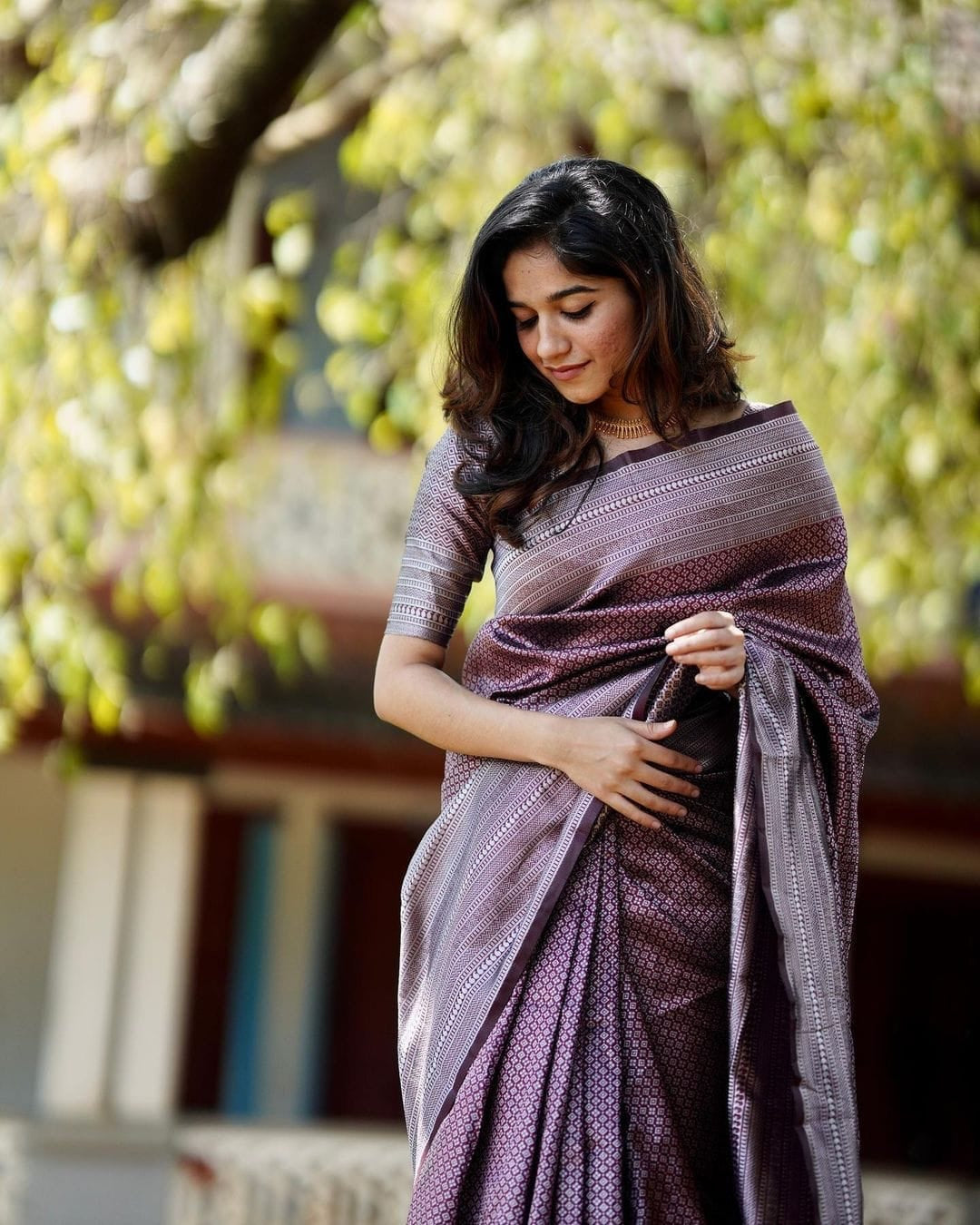 Woven Kanjivaram Pure Silk Saree  (Brown)