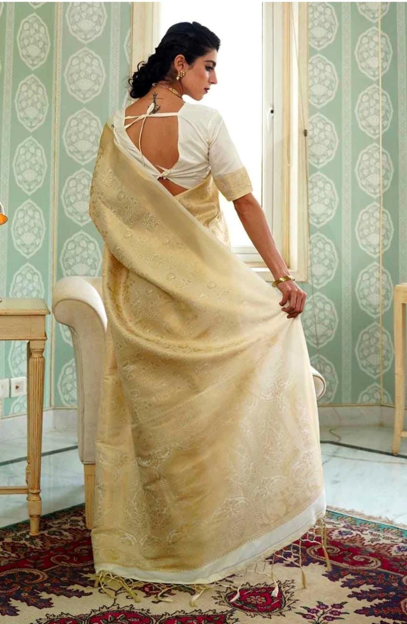 Abhisarika Sensational Sarees