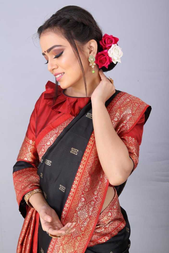 Banarasi Jacquard Zari Silk Saree (Black)