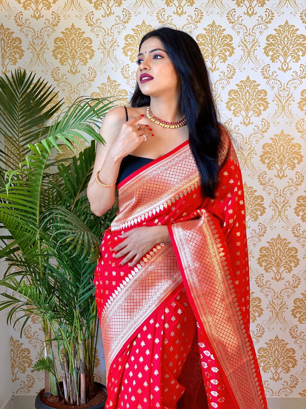Banarasi Saree
