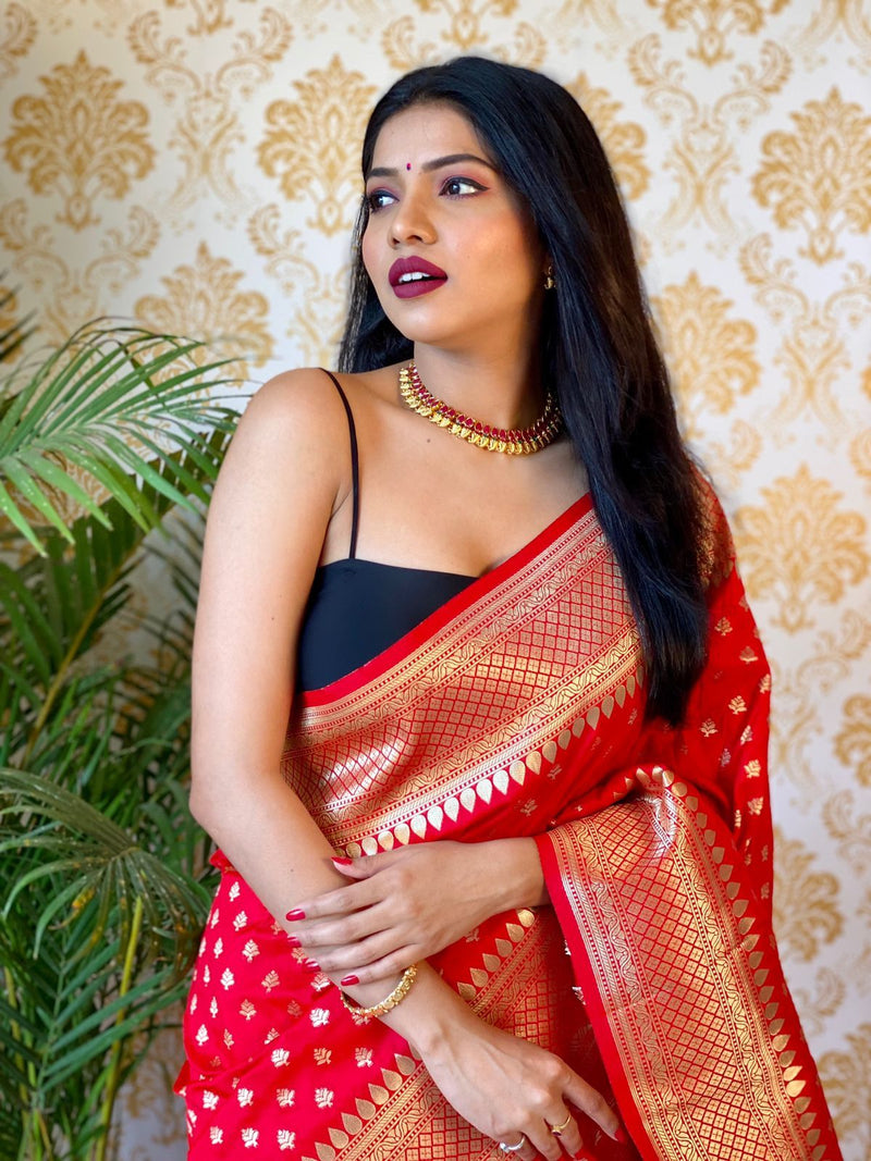 Banarasi Saree