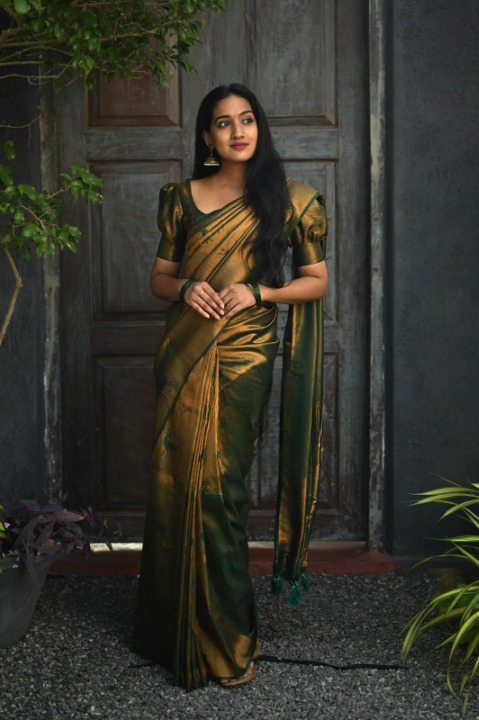 Kanjeevaram Silk Saree