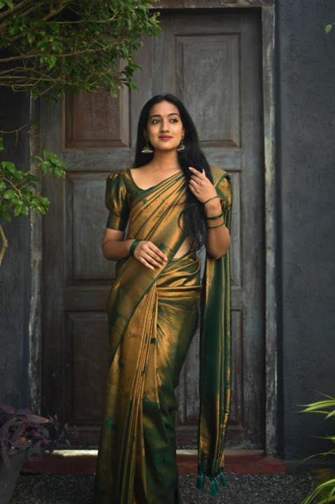 Kanjeevaram Silk Saree