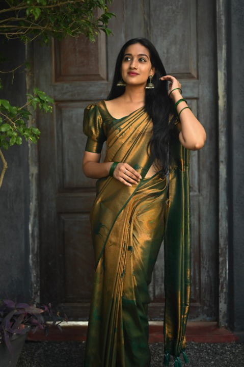 Kanjeevaram Silk Saree