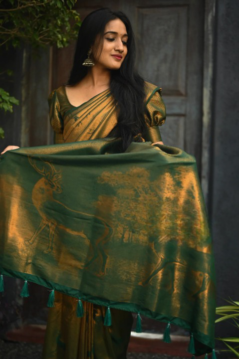 Kanjeevaram Silk Saree