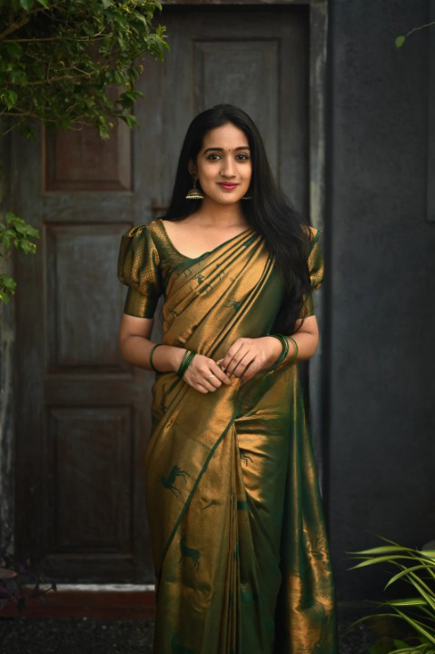 Kanjeevaram Silk Saree