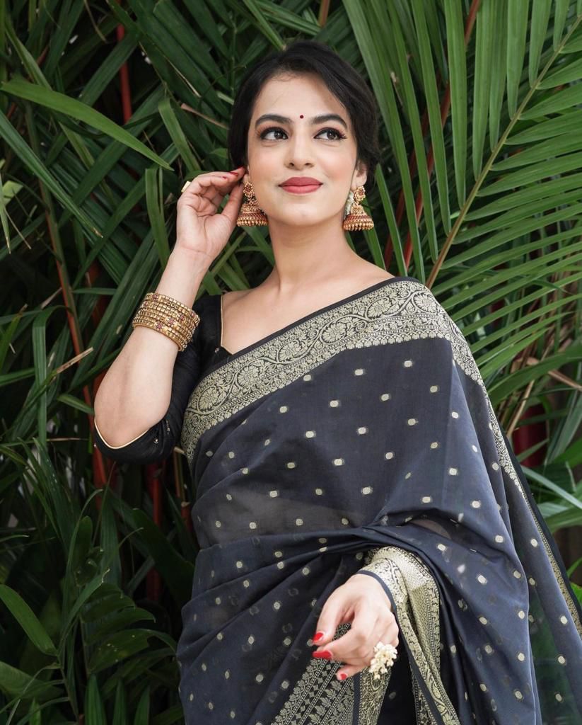 Wedding Wear Banarasi Silk Sarees (Black)