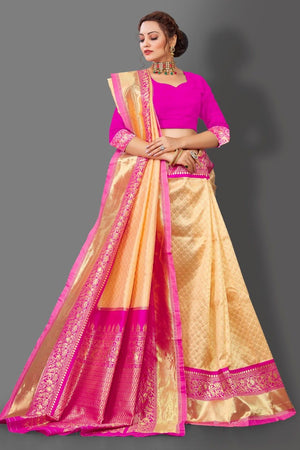 Woman wearing a traditional saree with pink blouse on a gray background