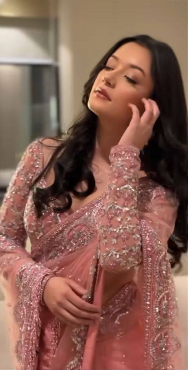 Butterfly Net Embroidered Sequins Saree