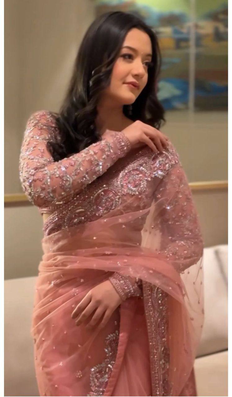 Butterfly Net Embroidered Sequins Saree